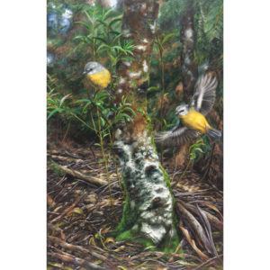 Incoming - Eastern Yellow Robins