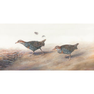 Buff Banded Rails