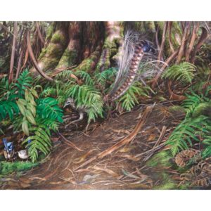 Superb Lyrebird and Wrens