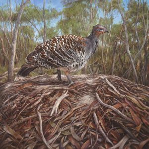 Ongerup Malleefowl
