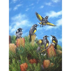 "Meeting at High Ridge" - New Holland Honey Eaters