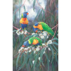 The Wild Ones - Lorikeets