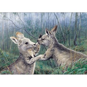 Winnie and Smokie - Play fight