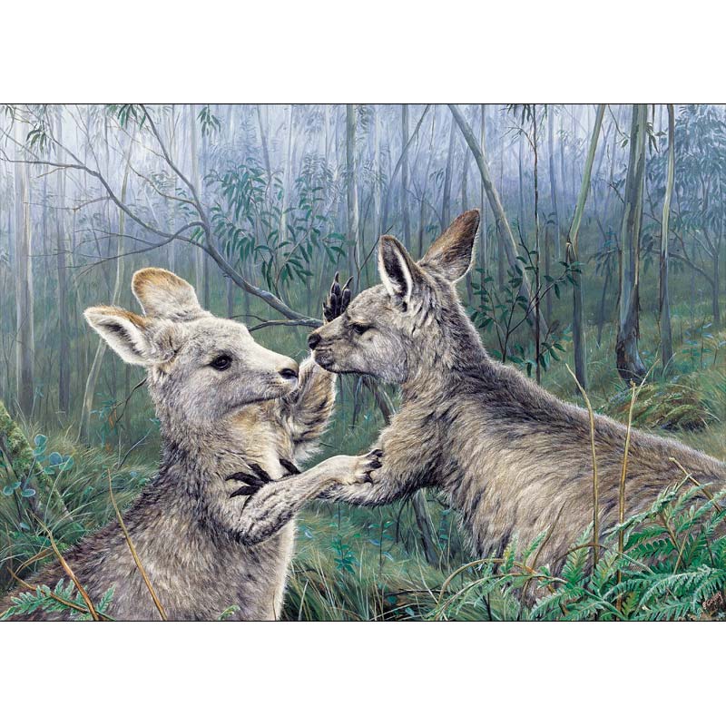 Winnie and Smokie - Play fight